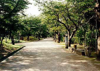 Photograph of Asukayama park